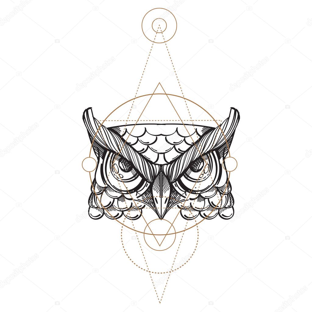 Muzzle of an owl illustration for creating sketches of tattoos, printing on clothes, design of posters and leaflets.