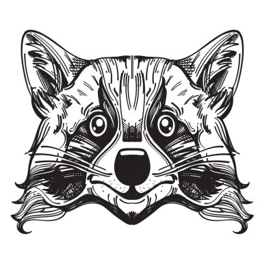 Muzzle raccoon illustration  clipart