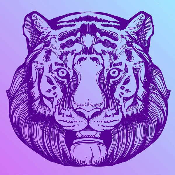 Hocico de una ilustración de tigre — Vector de stock