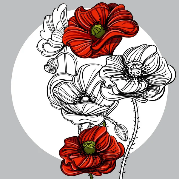 Coquelicots rouges dessinés à la main . — Image vectorielle