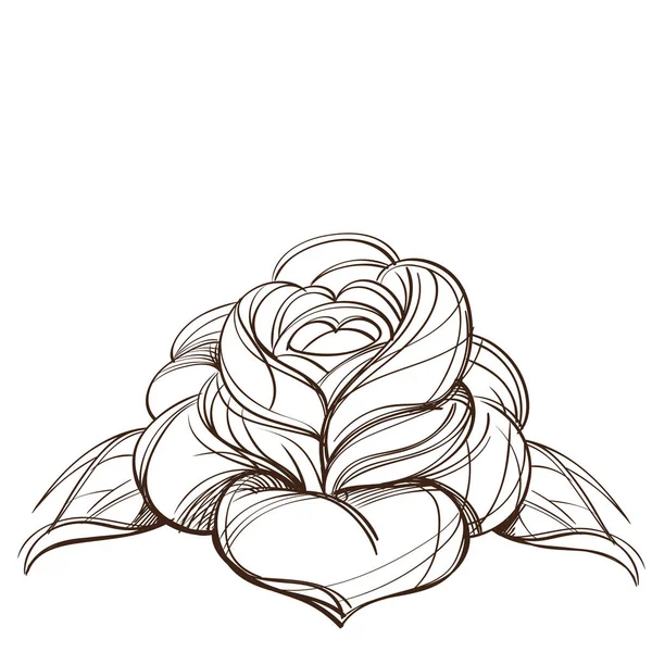 Käsin piirretty ruusu design elementti . — vektorikuva
