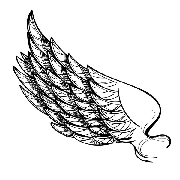 Ілюстрація крила, ізольовані — стоковий вектор