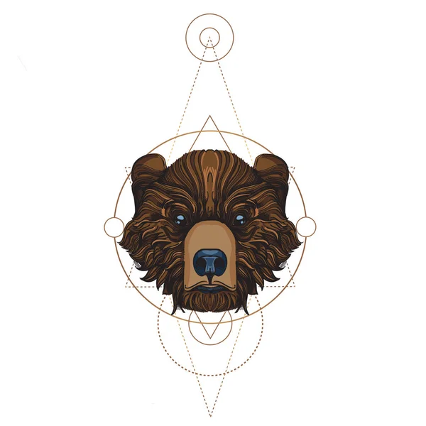 Muzzle oso ilustración — Vector de stock