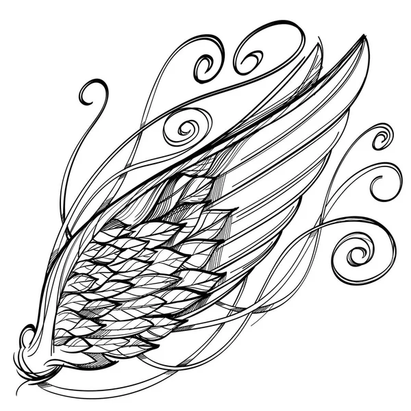 Illustration av wing, isolerade — Stock vektor