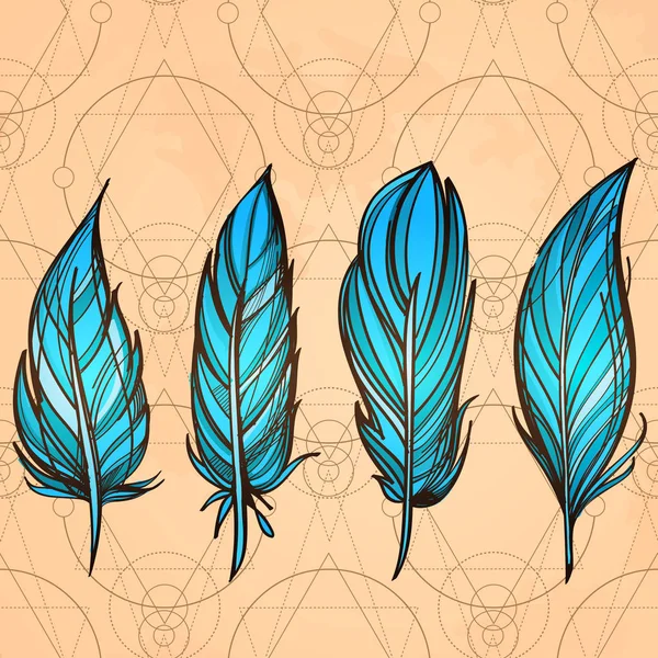 Hand drawn set of feathers — Stock Vector