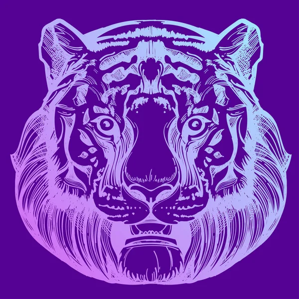 Muso di una tigre illustrazione — Vettoriale Stock