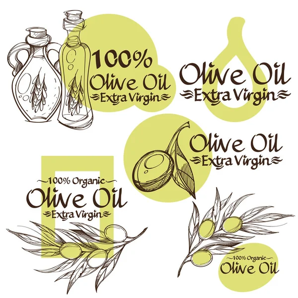Ramas y botellas de olivo — Vector de stock
