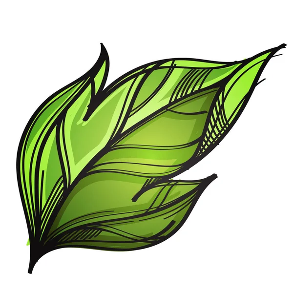 Één groen blad — Stockvector