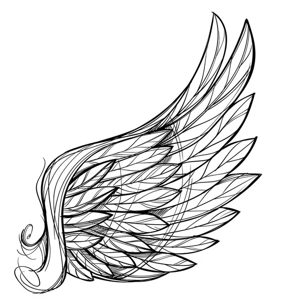 Illustratie van de vleugel, geïsoleerd — Stockvector
