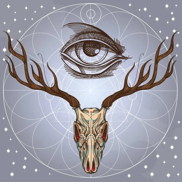 Sketch of deer skull — Stock Vector
