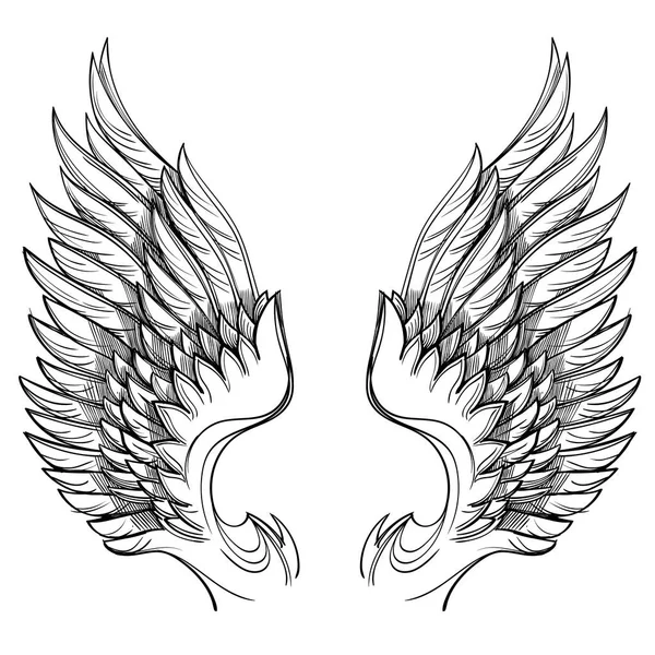 Illustration von Flügeln auf dem Hintergrund — Stockvektor