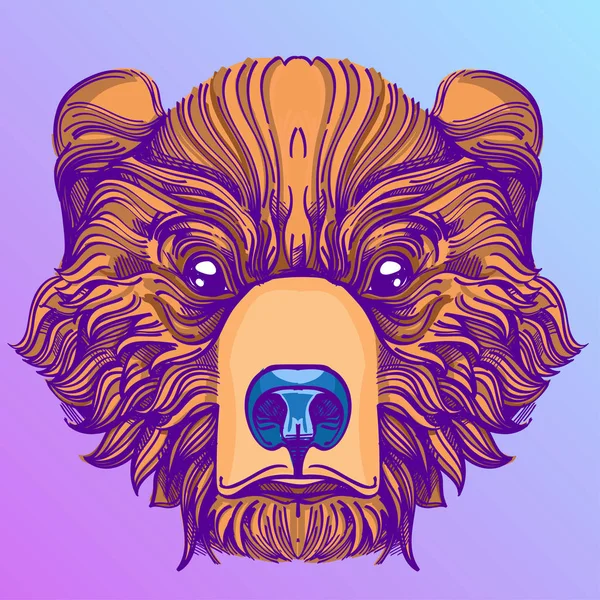 Muzzle oso ilustración — Vector de stock