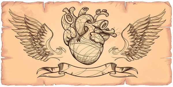 Coeur humain, ailes et ruban . — Image vectorielle