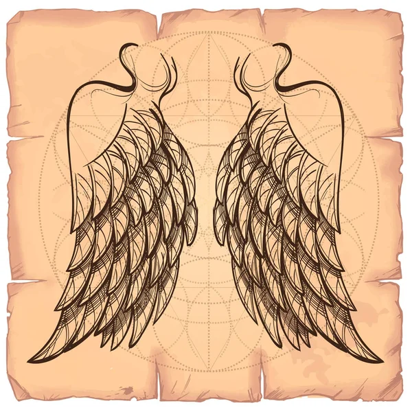 Ilustração de asas no fundo — Vetor de Stock