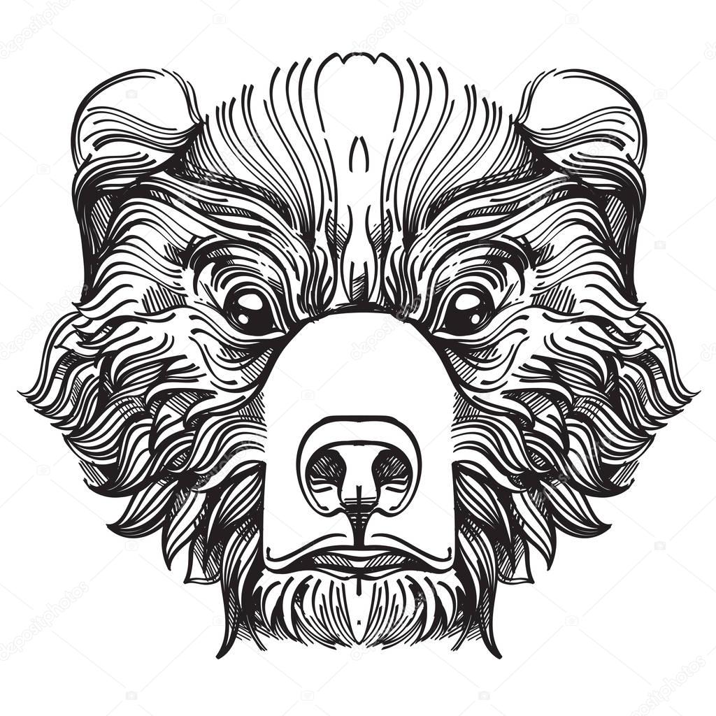 Muzzle bear illustration for creating sketches of tattoos, printing on clothes, design of posters and leaflets.