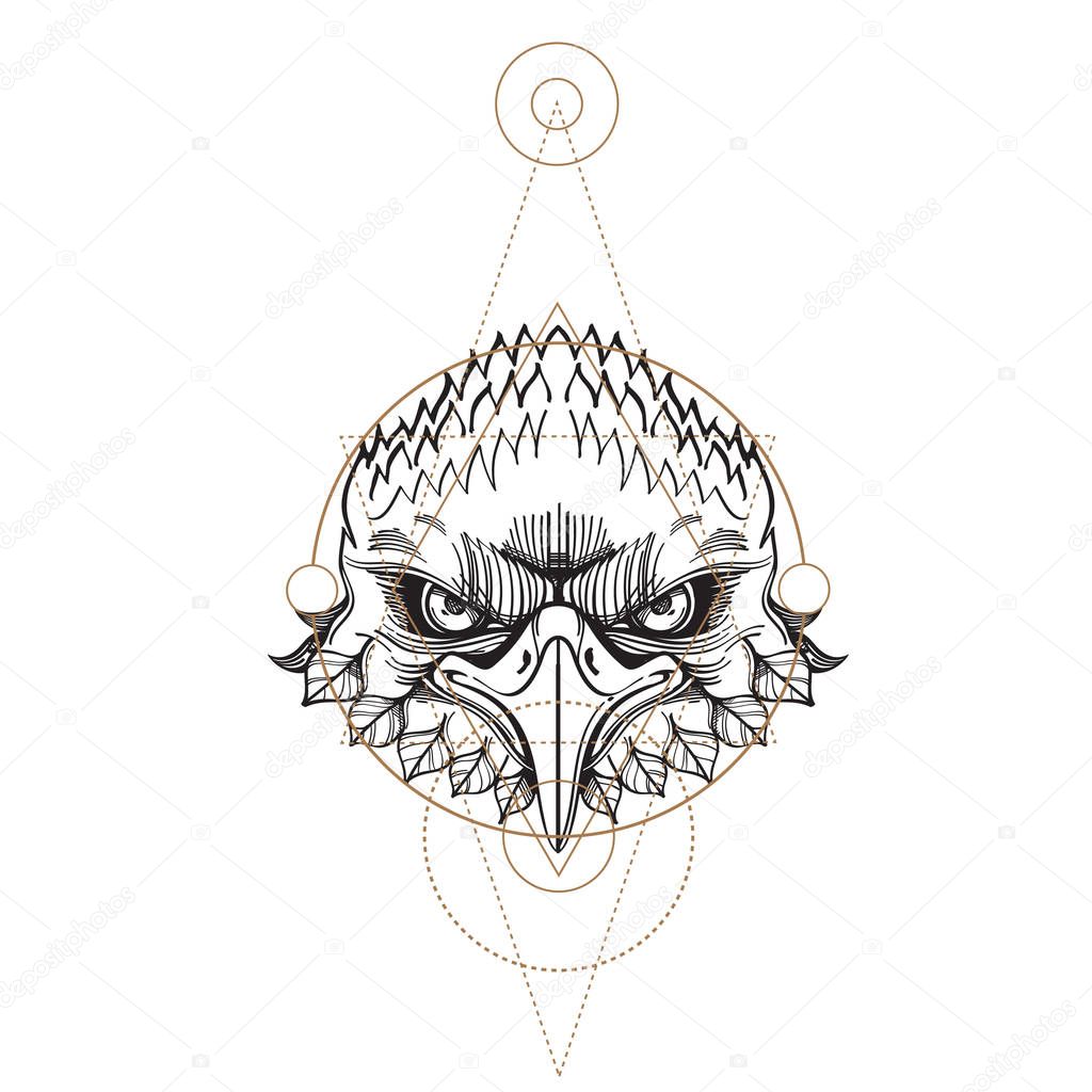 Muzzle of an eagle illustration for creating sketches of tattoos, printing on clothes, design of posters and leaflets.