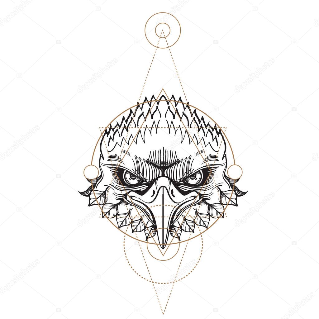 Muzzle of an eagle illustration 