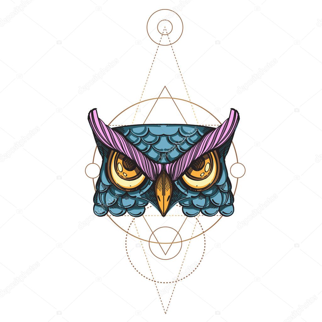 Muzzle of an owl illustration for creating sketches of tattoos, printing on clothes, design of posters and leaflets.