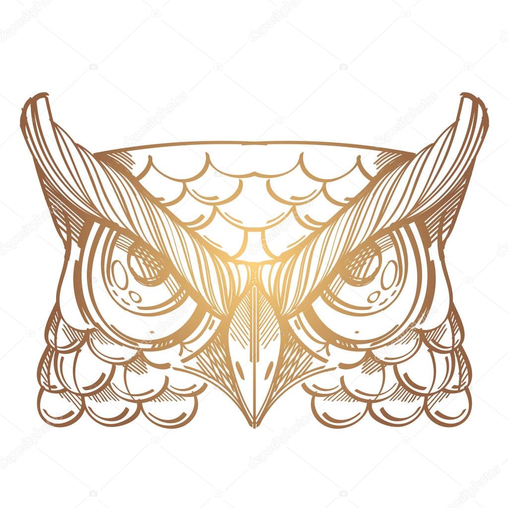 Muzzle of an owl illustration 