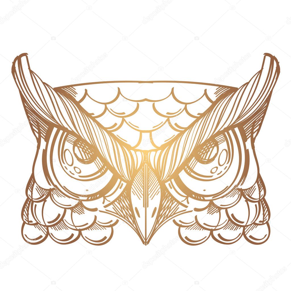 Muzzle of an owl illustration for creating sketches of tattoos, printing on clothes, design of posters and leaflets.