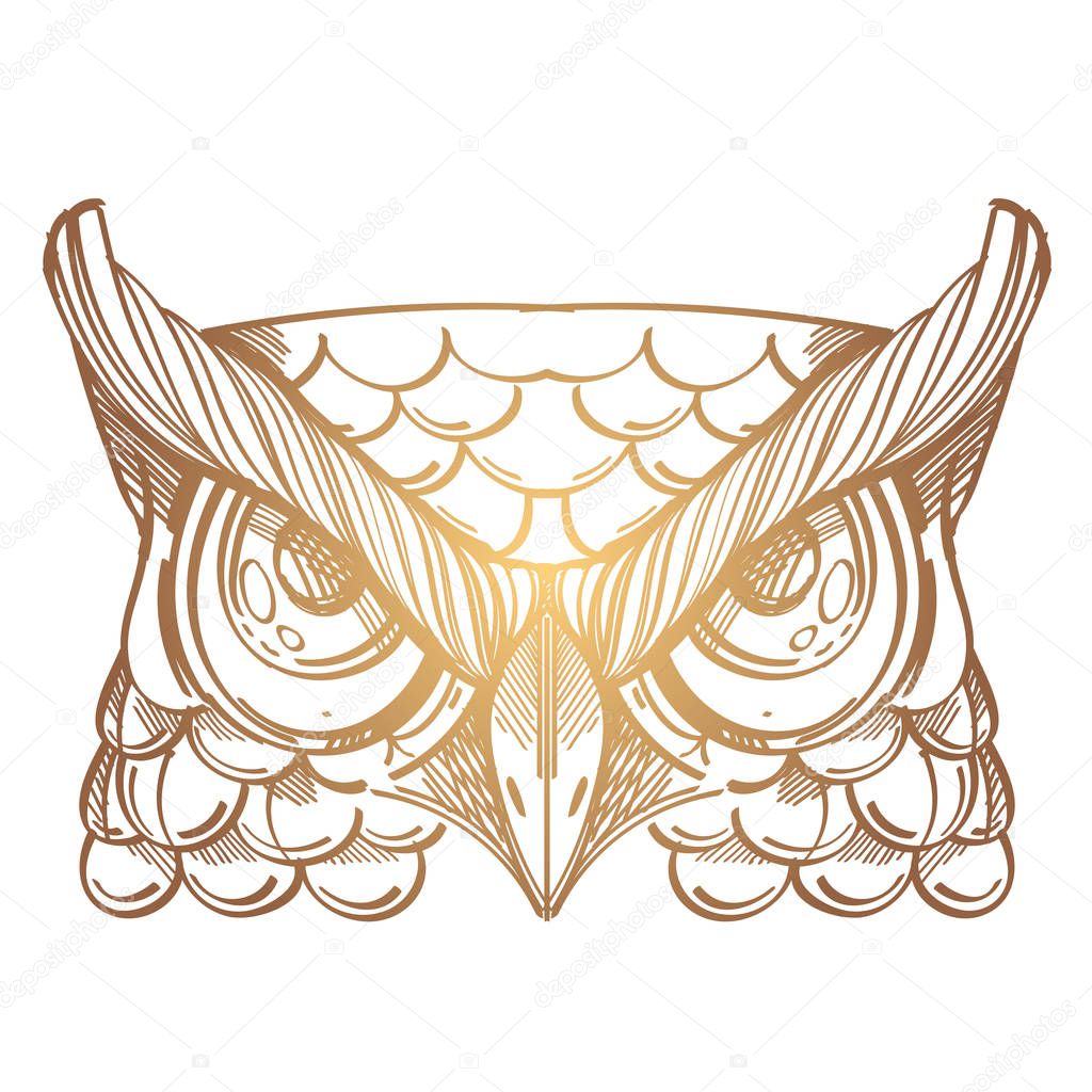 Muzzle of an owl illustration 