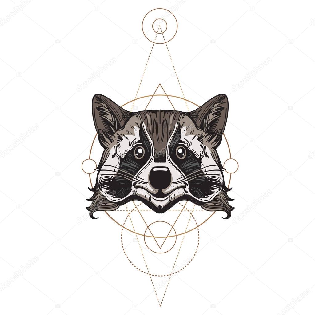 Muzzle raccoon illustration 