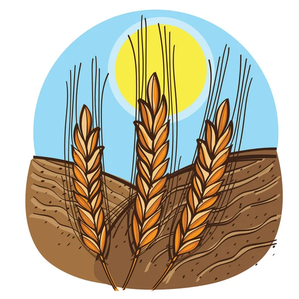 Cultivo de trigo en el campo — Vector de stock