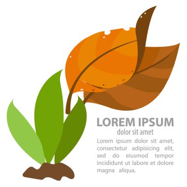 Yaprakları. Tütün simgeler