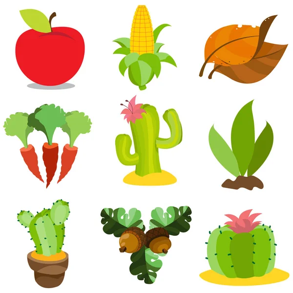 Set of Vegetables, fruits, plants. — Stock Vector