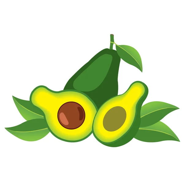 Logotipo de fruta de abacate bruto . — Vetor de Stock