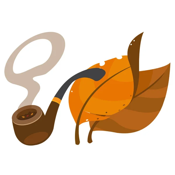 Feuilles de tabac et pipe à tabac . — Image vectorielle