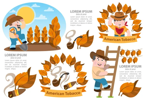 Infografica tabacchicoltura . — Vettoriale Stock