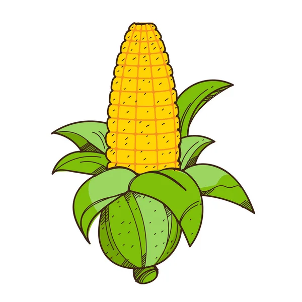 Fül kukorica logó. — Stock Vector