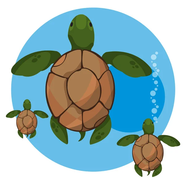 Kaplumbağa yavruları ile — Stok Vektör