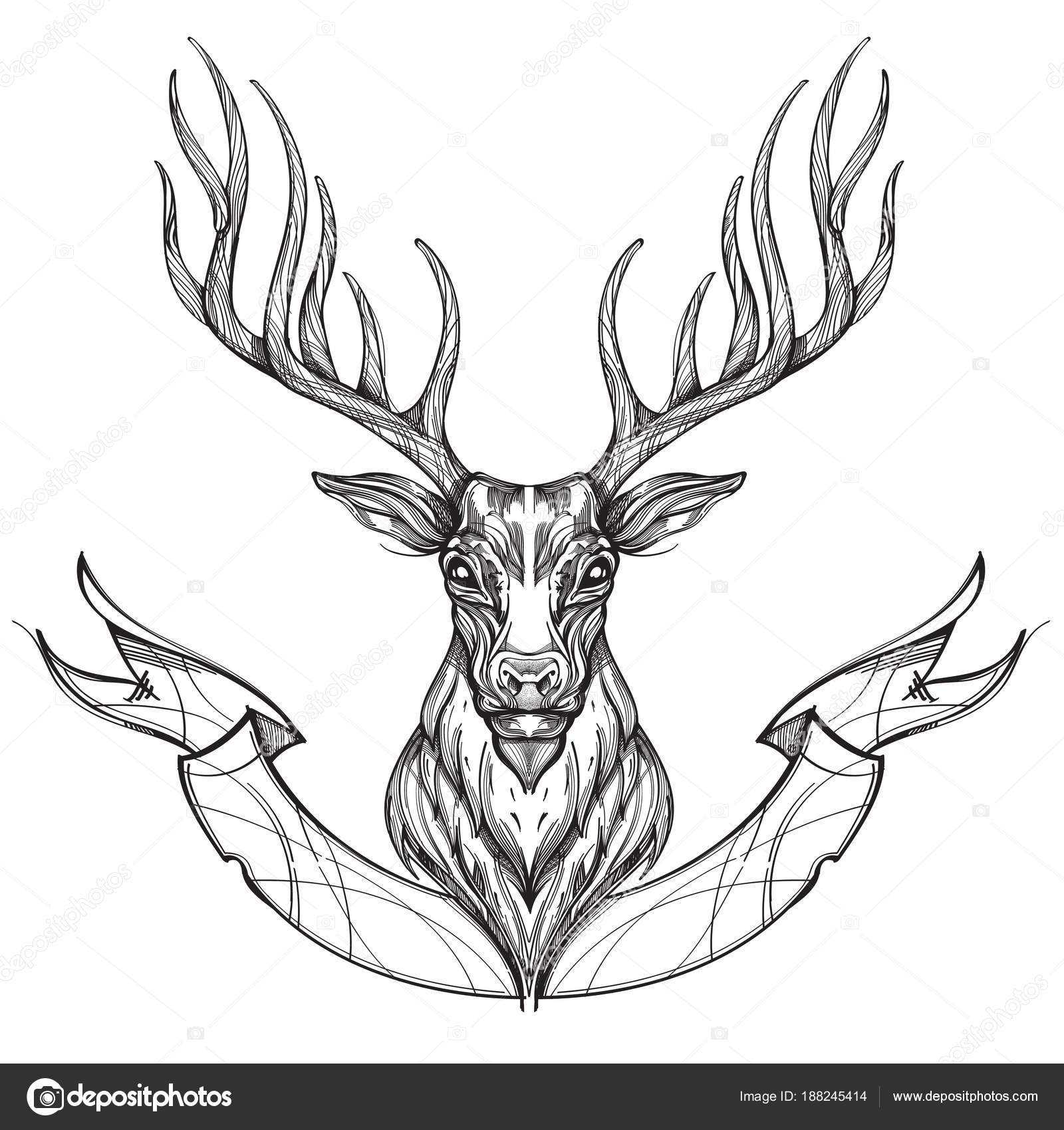 Dessin Tete De Cerf Noir Et Blanc Dessin Tete De Cerf Noir Et Blanc | AUTOMASITES