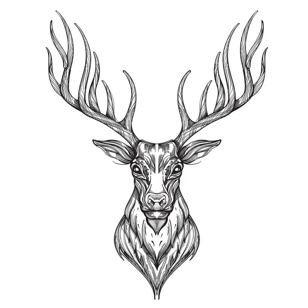 鹿の頭の白い背景で隔離 — ストックベクタ