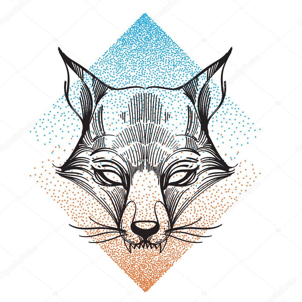 Fox Logo Drawing Isolated White Background — Stock Vector © filkusto
