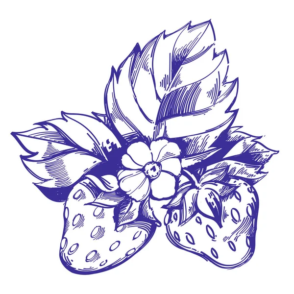 Monohrome 草莓在白色背景下分离 — 图库矢量图片