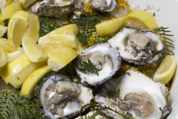 Verse Oesters Ijs Met Citroen — Stockfoto