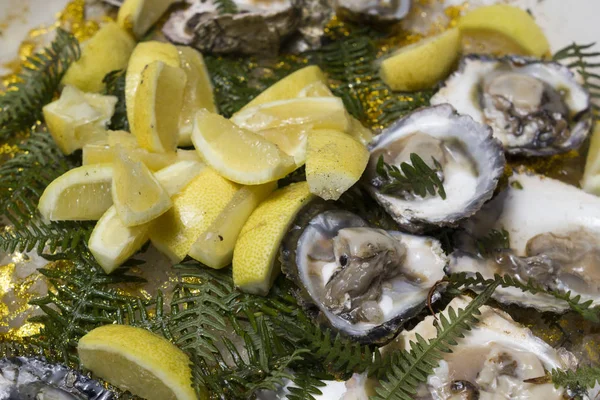 Verse oesters op ijs met citroen — Stockfoto