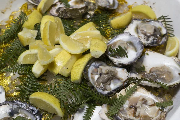 Verse oesters op ijs met citroen — Stockfoto