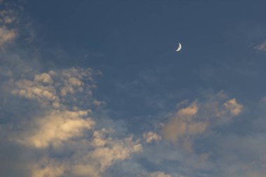 dramatik günbatımı gökyüzü bulutlu ay. Palm silüeti.