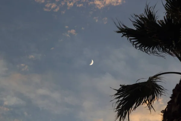 Měsíc Dramatické Západu Slunce Obloha Mraky Silueta Palm — Stock fotografie