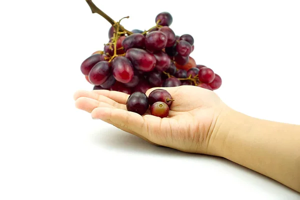 Uvas rojas pequeñas en la mano de los niños y racimo de uvas en blanco —  Fotos de Stock