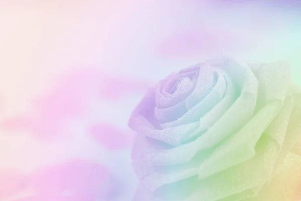 Rosa rosa flor de tecido e pequeno hart no fundo branco para V — Fotografia de Stock
