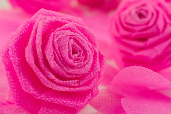 Pink rose on Sweet color background for Valentine festival — Stock Photo, Image