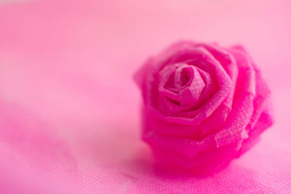 Rose rose sur fond de couleur douce pour la Saint-Valentin festival — Photo