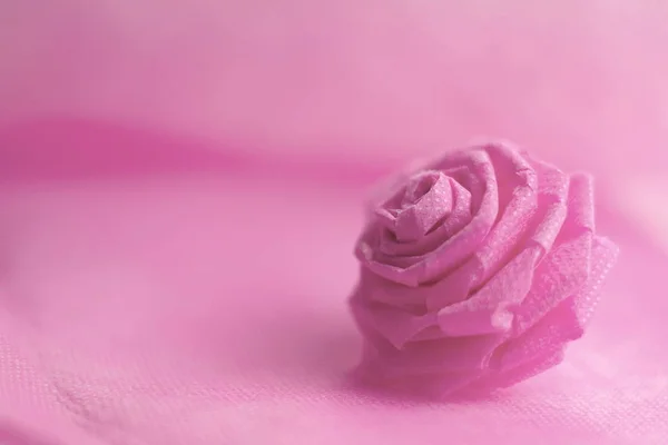 Rose rose sur fond de couleur douce pour la Saint-Valentin festival — Photo