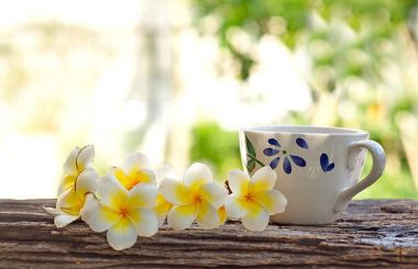 Güzel Plumeria çiçek ve kahve Kupası tarihinde eski kuru tim grubu