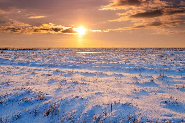 冬の草原の風景と夕日 ストックフォト